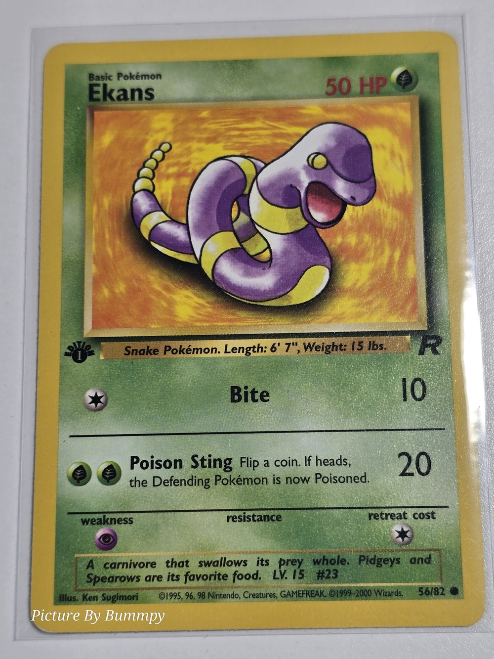 #13 Pokemon 1st Edition Ekans card from the 2000 Team Rocket expansion, #56/82.